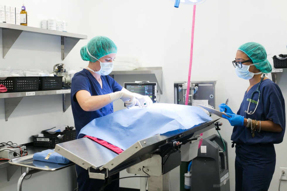 Veterinary Hospital in Philadelphia, PA The Pet Mechanic