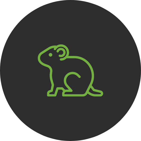 small mammals logo